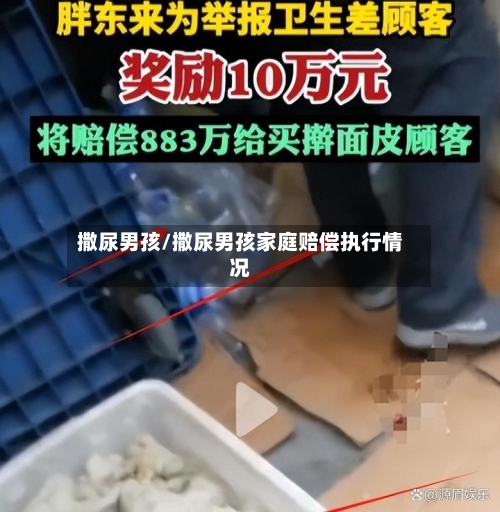 撒尿男孩/撒尿男孩家庭赔偿执行情况-第1张图片