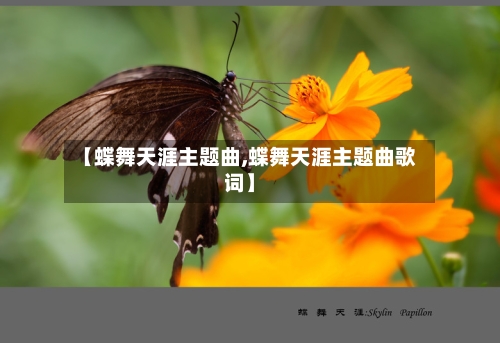 【蝶舞天涯主题曲,蝶舞天涯主题曲歌词】-第1张图片