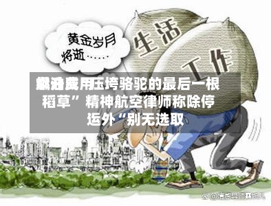 燃油费用飙升成“压垮骆驼的最后一根稻草” 精神航空律师称除停运外“别无选取”-第1张图片