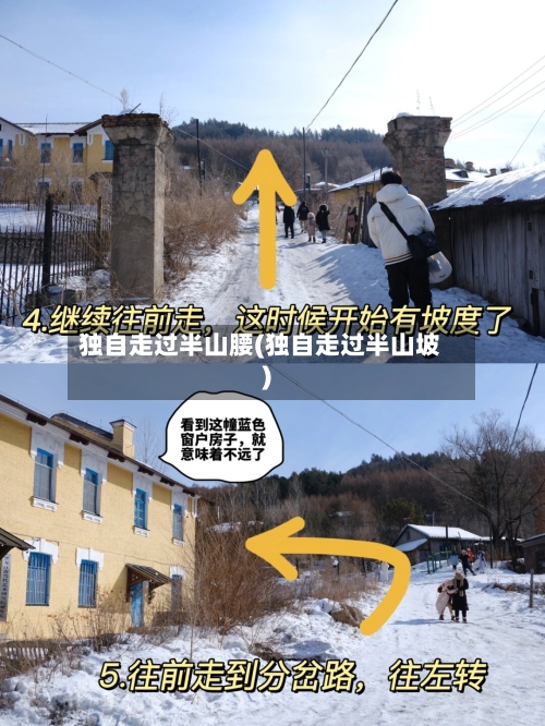 独自走过半山腰(独自走过半山坡)-第2张图片
