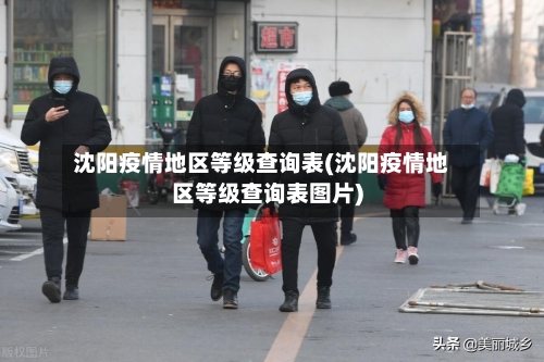 沈阳疫情地区等级查询表(沈阳疫情地区等级查询表图片)-第2张图片
