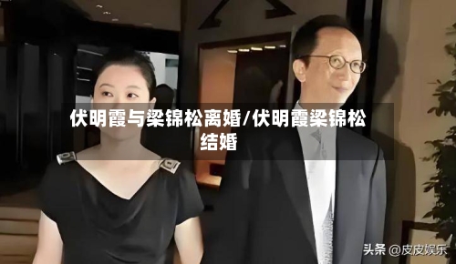 伏明霞与梁锦松离婚/伏明霞梁锦松结婚-第3张图片