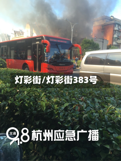 灯彩街/灯彩街383号-第3张图片