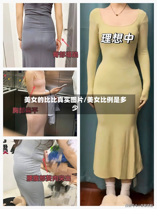 美女的比比真实图片/美女比例是多少-第3张图片