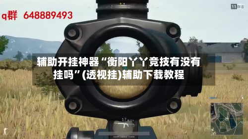 辅助开挂神器“衡阳丫丫竞技有没有挂吗	”(透视挂)辅助下载教程-第1张图片
