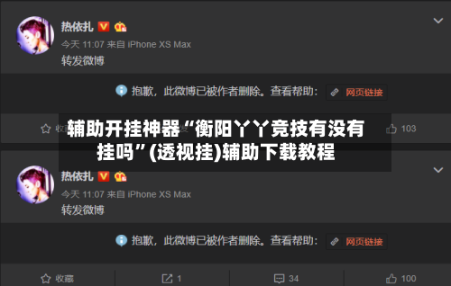 辅助开挂神器“衡阳丫丫竞技有没有挂吗	”(透视挂)辅助下载教程-第2张图片