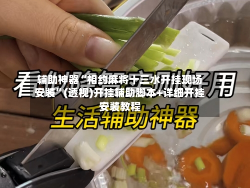 辅助神器“相约麻将十三水开挂现场安装”(透视)开挂辅助脚本+详细开挂安装教程-第1张图片