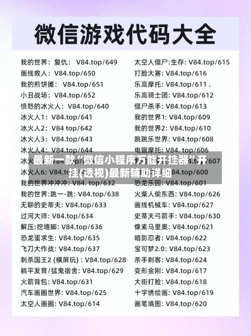 最新一款“微信小程序万能开挂器”开挂(透视)最新辅助详细-第1张图片