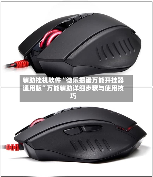 辅助挂机软件“微乐掼蛋万能开挂器通用版”万能辅助详细步骤与使用技巧-第1张图片