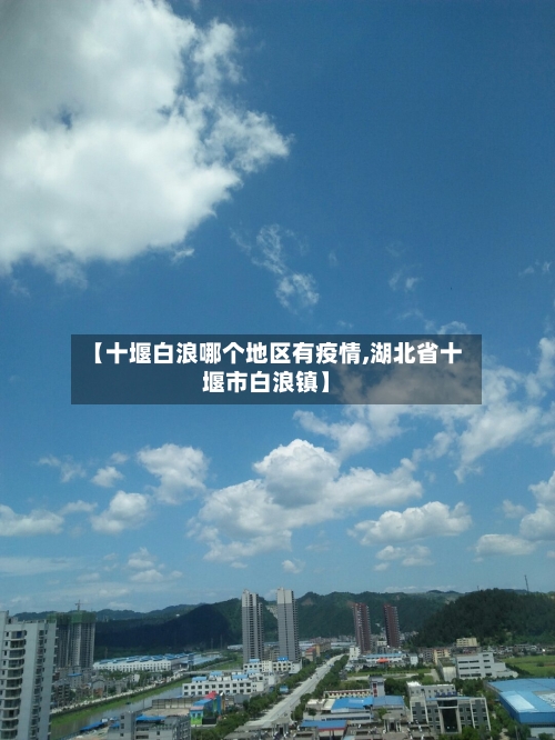 【十堰白浪哪个地区有疫情,湖北省十堰市白浪镇】-第2张图片