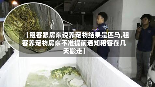 【租客跟房东说养宠物结果是匹马,租客养宠物房东不准提前通知租客在几天搬走】-第1张图片