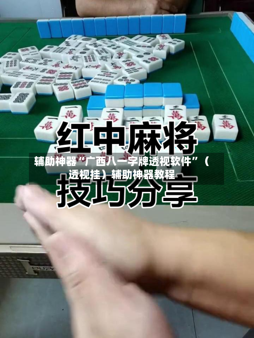 辅助神器“广西八一字牌透视软件	”（透视挂）辅助神器教程-第1张图片