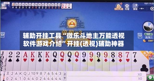 辅助开挂工具“微乐斗地主万能透视软件游戏介绍	”开挂(透视)辅助神器-第3张图片