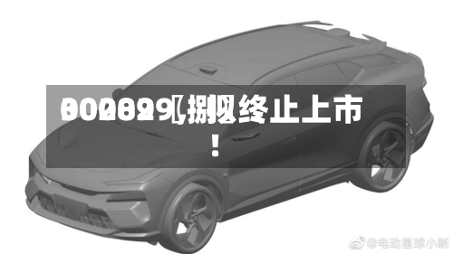 00289〖捌〗	、300029，拟终止上市！-第2张图片
