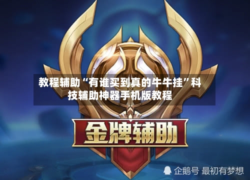 教程辅助“有谁买到真的牛牛挂	”科技辅助神器手机版教程-第3张图片