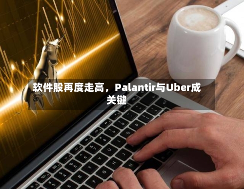 软件股再度走高，Palantir与Uber成关键-第1张图片