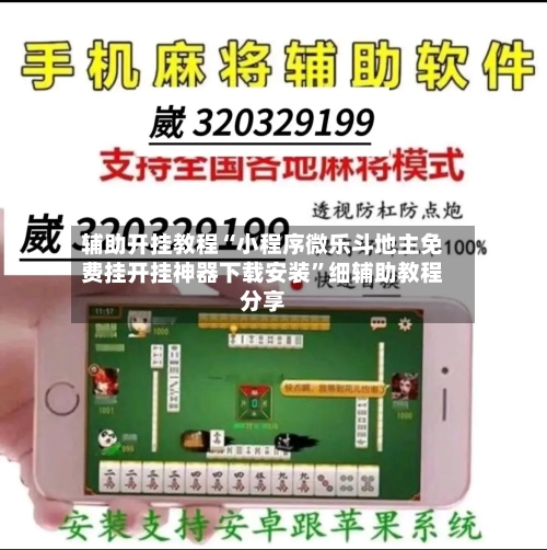 辅助开挂教程“小程序微乐斗地主免费挂开挂神器下载安装”细辅助教程分享-第3张图片