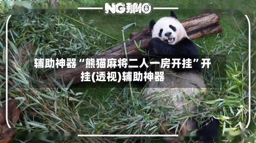 辅助神器“熊猫麻将二人一房开挂	”开挂(透视)辅助神器-第1张图片