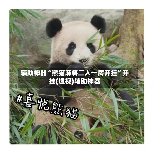 辅助神器“熊猫麻将二人一房开挂”开挂(透视)辅助神器-第3张图片