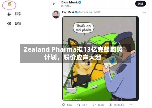 Zealand Pharma推13亿克朗回购计划	，股价应声大涨-第1张图片