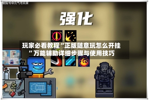 玩家必看教程“正版随意玩怎么开挂”万能辅助详细步骤与使用技巧-第1张图片