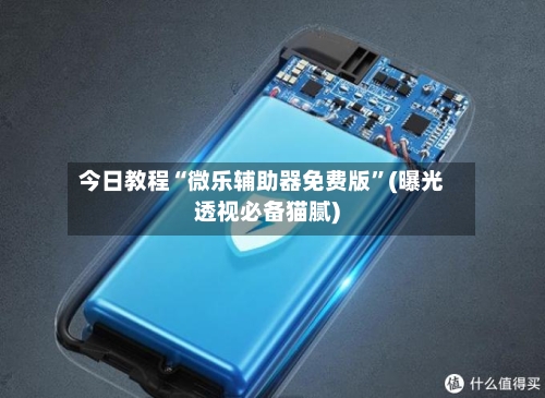 今日教程“微乐辅助器免费版	”(曝光透视必备猫腻)-第2张图片