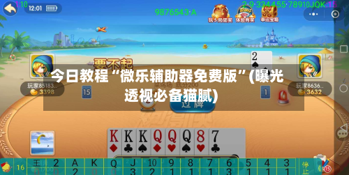 今日教程“微乐辅助器免费版”(曝光透视必备猫腻)-第1张图片