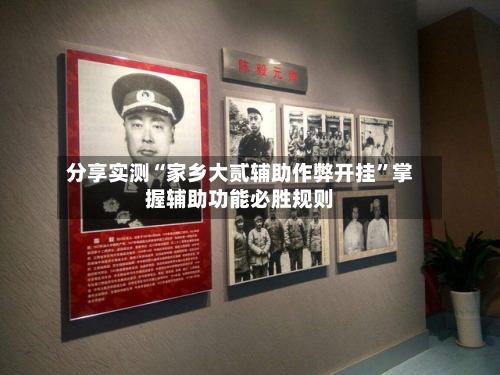 分享实测“家乡大贰辅助作弊开挂”掌握辅助功能必胜规则-第3张图片