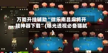 万能开挂辅助“微乐南昌麻将开挂神器下载”(曝光透视必备猫腻)-第2张图片