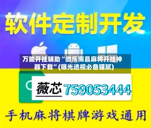 万能开挂辅助“微乐南昌麻将开挂神器下载”(曝光透视必备猫腻)-第3张图片