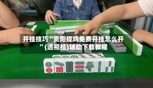 开挂技巧“贵阳捉鸡免费开挂怎么开”(透视挂)辅助下载教程-第3张图片
