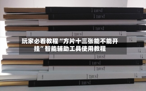 玩家必看教程“方片十三张能不能开挂”智能辅助工具使用教程-第2张图片