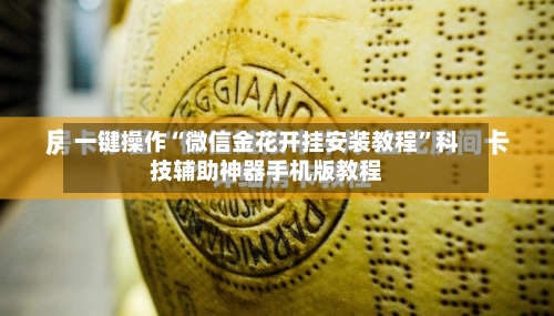 一键操作“微信金花开挂安装教程”科技辅助神器手机版教程-第2张图片