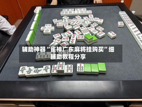 辅助神器“雀神广东麻将挂购买”细辅助教程分享-第3张图片