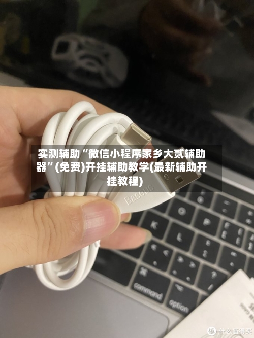 实测辅助“微信小程序家乡大贰辅助器”(免费)开挂辅助教学(最新辅助开挂教程)-第2张图片