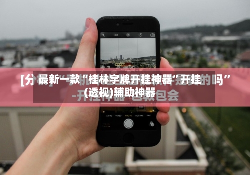 最新一款“桂林字牌开挂神器”开挂(透视)辅助神器-第1张图片