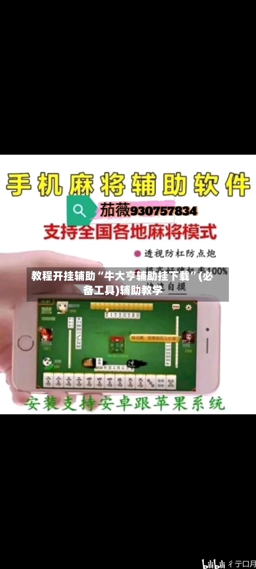 教程开挂辅助“牛大亨辅助挂下载”(必备工具)辅助教学-第2张图片