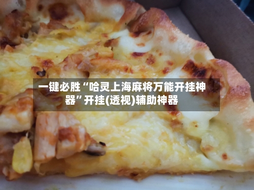 一键必胜“哈灵上海麻将万能开挂神器”开挂(透视)辅助神器-第1张图片