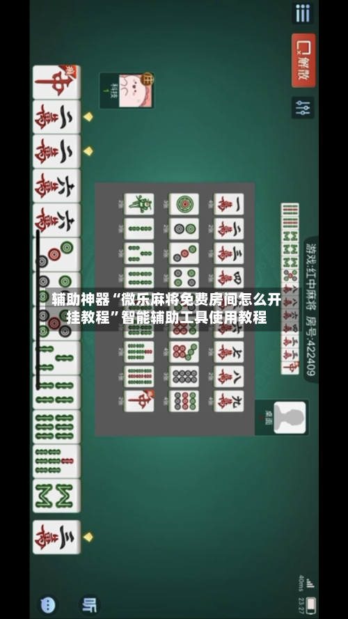 辅助神器“微乐麻将免费房间怎么开挂教程”智能辅助工具使用教程-第3张图片