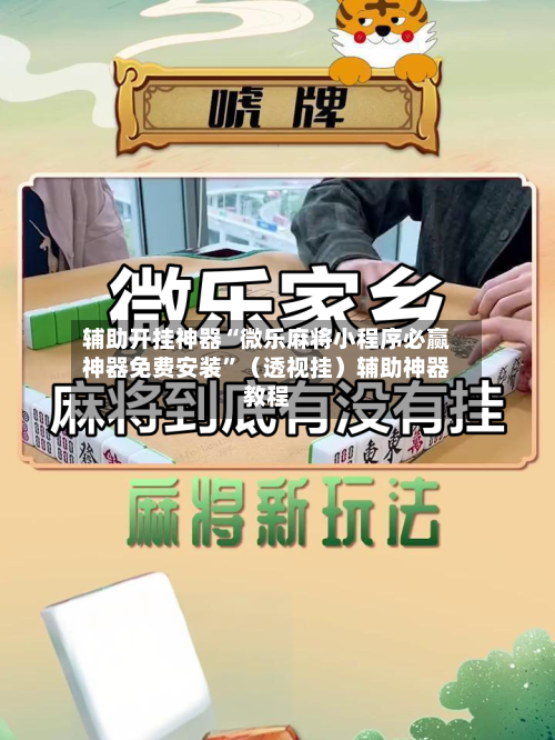 辅助开挂神器“微乐麻将小程序必赢神器免费安装”（透视挂）辅助神器教程-第3张图片