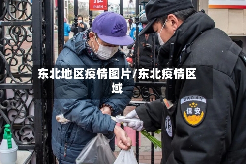 东北地区疫情图片/东北疫情区域-第1张图片