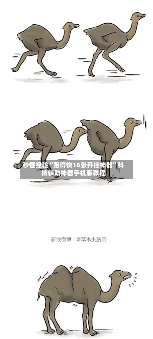 秒懂经验“跑得快16张开挂神器”科技辅助神器手机版教程-第1张图片