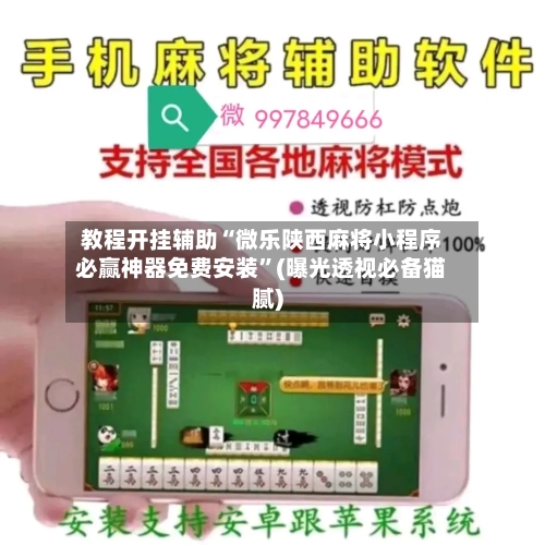 教程开挂辅助“微乐陕西麻将小程序必赢神器免费安装”(曝光透视必备猫腻)-第2张图片