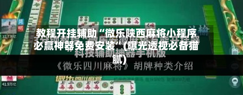 教程开挂辅助“微乐陕西麻将小程序必赢神器免费安装”(曝光透视必备猫腻)-第1张图片