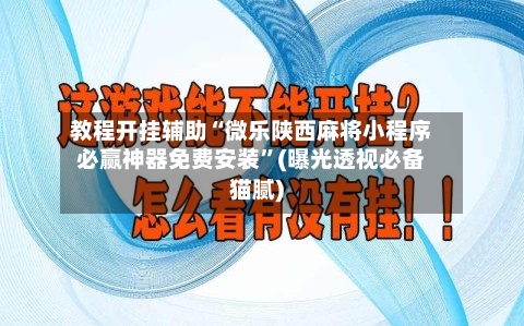 教程开挂辅助“微乐陕西麻将小程序必赢神器免费安装”(曝光透视必备猫腻)-第3张图片