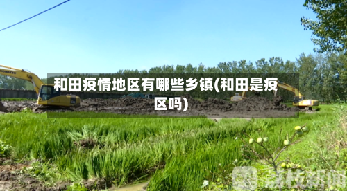 和田疫情地区有哪些乡镇(和田是疫区吗)-第2张图片