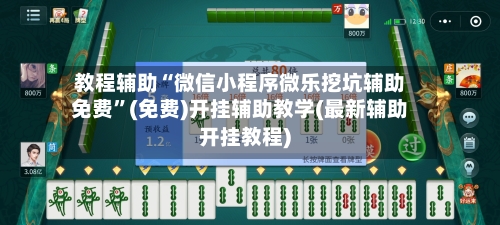 教程辅助“微信小程序微乐挖坑辅助免费”(免费)开挂辅助教学(最新辅助开挂教程)-第2张图片