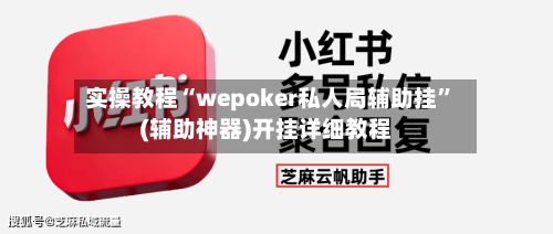 实操教程“wepoker私人局辅助挂”(辅助神器)开挂详细教程-第2张图片