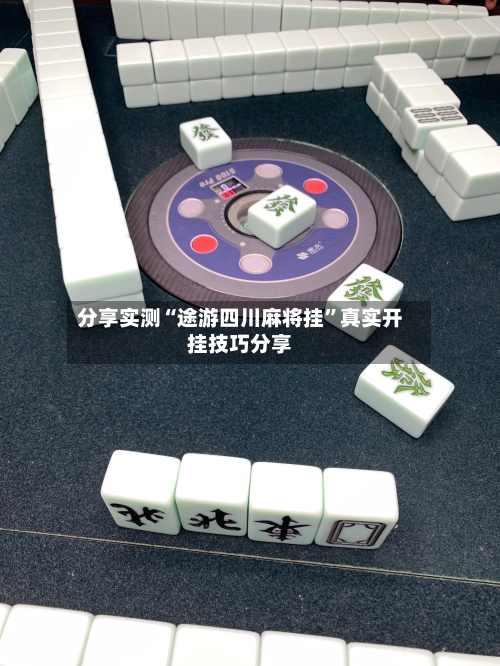 分享实测“途游四川麻将挂”真实开挂技巧分享-第3张图片