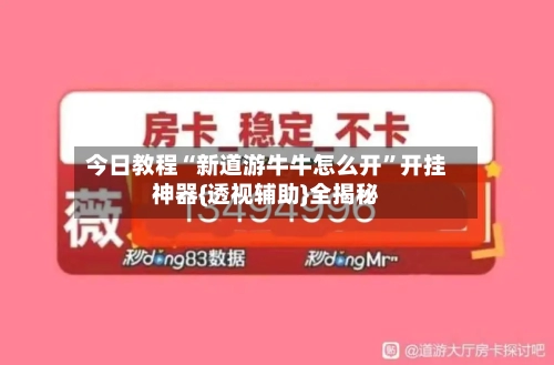 今日教程“新道游牛牛怎么开”开挂神器{透视辅助}全揭秘-第1张图片